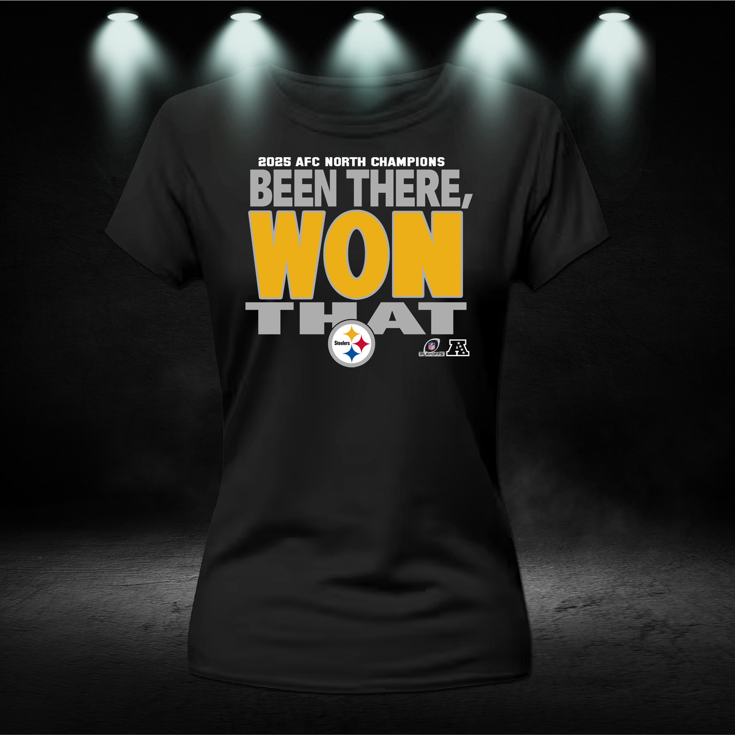 Been there won that steelers shirt | Steelers afc north champions shirt, Sweatshirt, and Hoodie