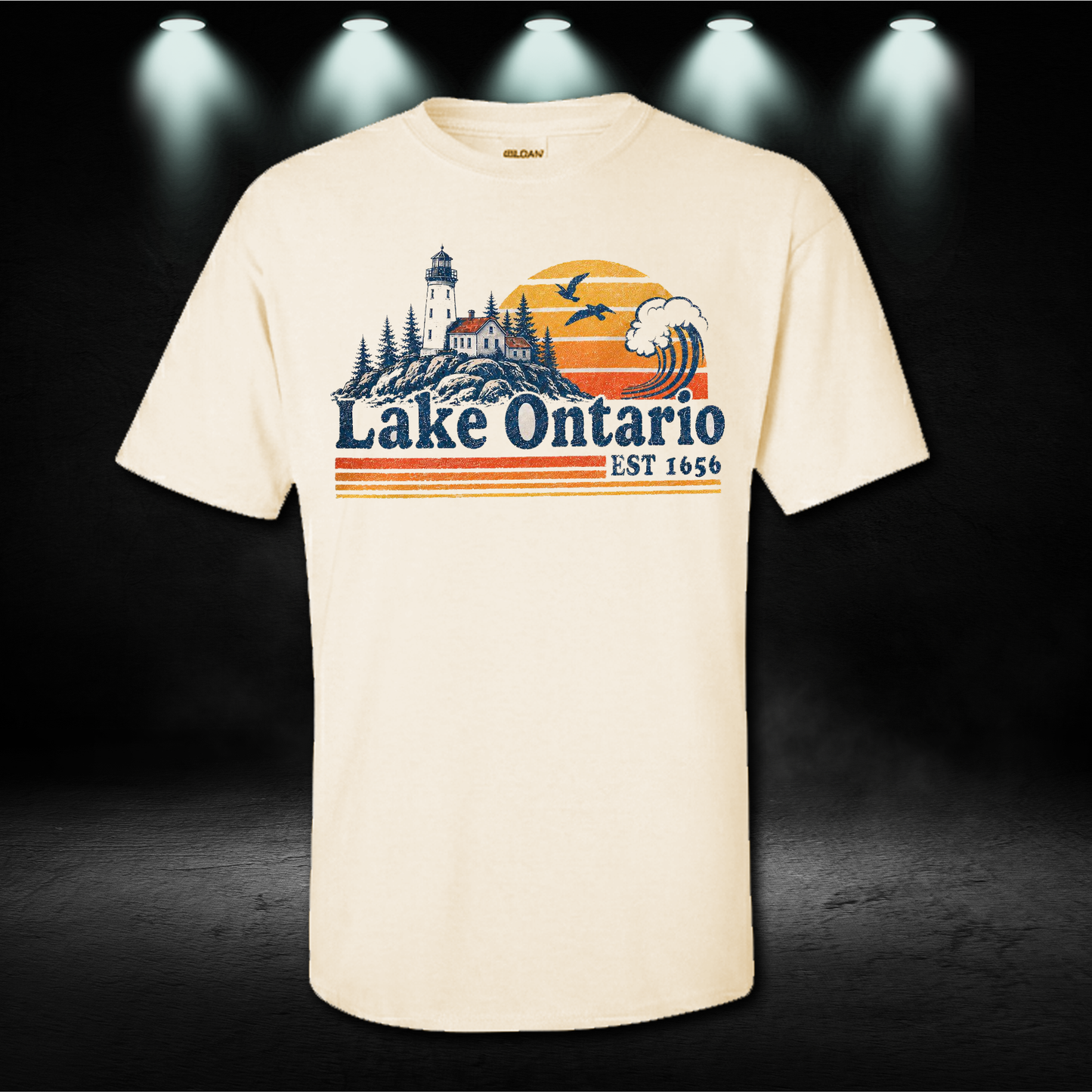 Lake Ontario t shirt, Vintage Lake Ontario Great Lakes Shirt, Vintage Quiet Activism Tee