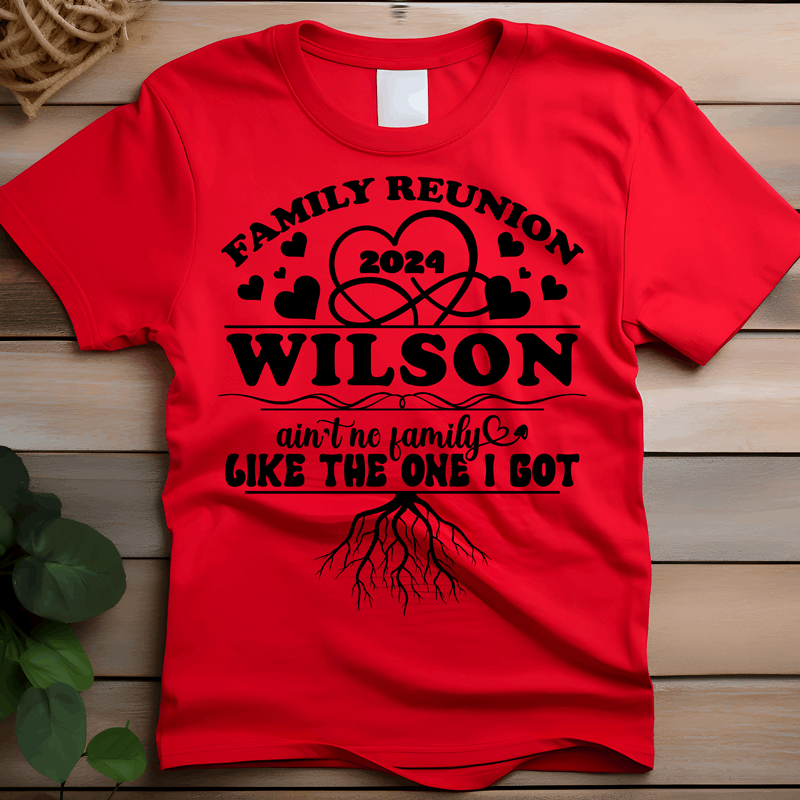 Custom Ain't no family like the one I got family reunion shirt, customized family reunion t shirts, fun family reunion shirts - Wilson Design Group