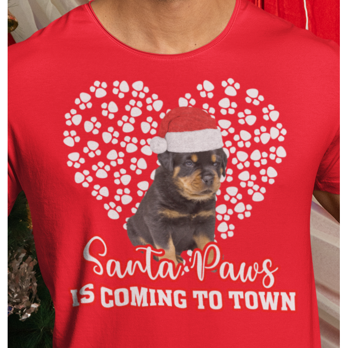 Tibetan mastiff Santa Paws is coming to Town sweatshirt - Wilson Design Group